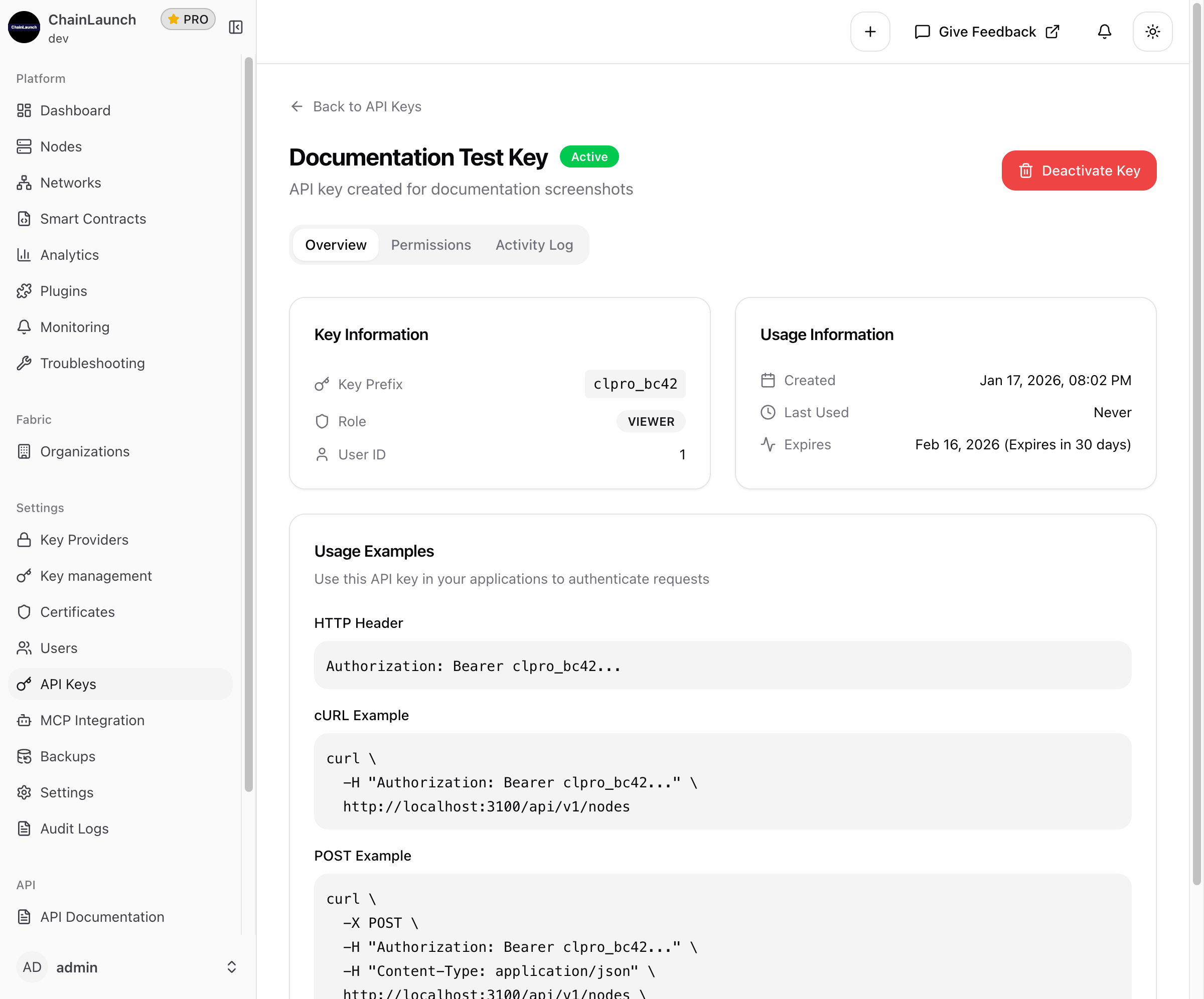 API Key Details View